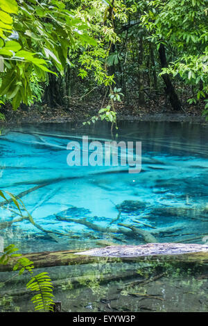 Emerald Pool of Wildlife Sanctuary Sa Morakot, Thailand, Wildlife Sanctuary Sa Morakot Stock Photo
