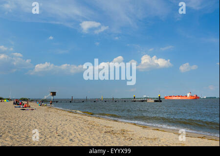 view from river Isle Krautsand to transport ship on river Elbe, Germany, Lower Saxony, Krautsand Stock Photo