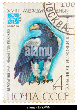 USSR - CIRCA 1982: A stamp printed in USSR (Russia) shows a bird Haliaeetus pelagitus with the inscription and name of series 'X Stock Photo