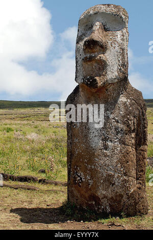 Moai statue, Chile, Rapa Nui National Park Stock Photo