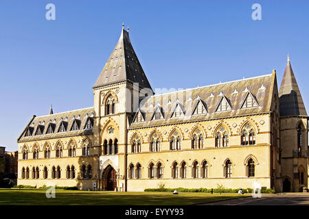 Oxford University Museum of Natural History , United Kingdom, England, Oxford Stock Photo