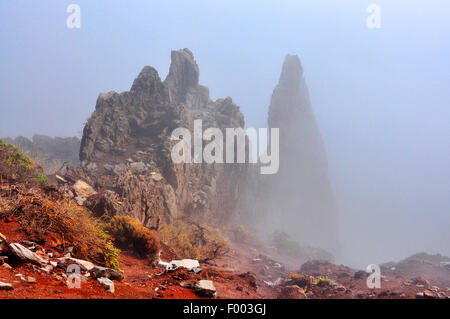 rock formation Pared de Roberto, Canary Islands, La Palma, Caldera Taburiente National Park Stock Photo