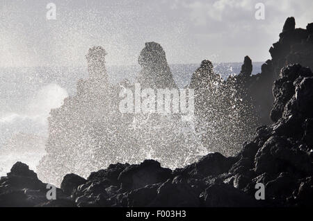 surf at the volcanic rockbound coast , Canary Islands, La Palma Stock Photo
