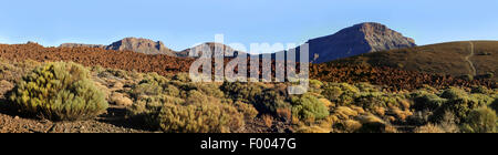 volcanic landscape, Canary Islands, Tenerife, Teide National Park Stock Photo