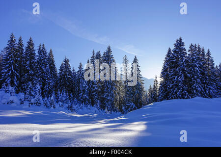 snow landscape near Elmau, Germany, Bavaria, Oberbayern, Upper Bavaria Stock Photo