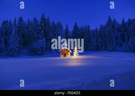 illuminated christmas tree in front of a chapel in snow landscape, Germany, Bavaria, Oberbayern, Upper Bavaria Stock Photo