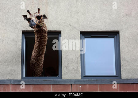 Edinburgh. UK. 5 August. Photocall Princess Pumpalot and Geoffrey the Giraffe appear in the windows of the Apex Hotel to promotion of their show that will performance on Thursday on 6th August until 30th August in Sweet Venues, Grassmarket. Edinburgh Venue 18. Pako Mera/Alamy live News Stock Photo