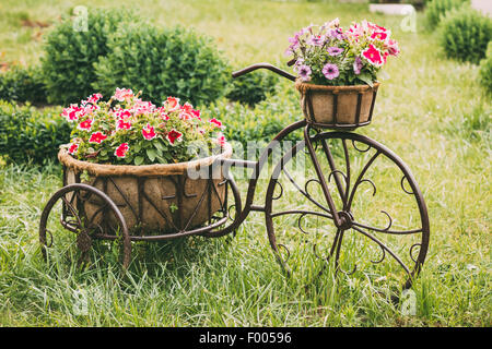 Decorative Vintage Model Old Bicycle Equipped Basket Flowers Garden. Toned Photo. Stock Photo