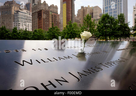 A white rose placed in a name on the 911 memorial garden, New York, NY, USA, United States of America. Stock Photo
