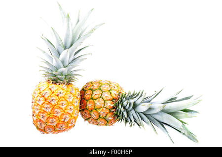 Pair of ripe pineapples on a white background Stock Photo