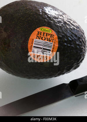 Avocado Ripe Now Fresh Avocado ready for Sale Stock Photo - Alamy