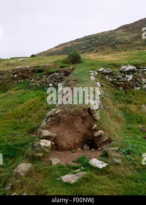 Stone-faced earthen field bank (clawdd) bordering W coastal path on ...