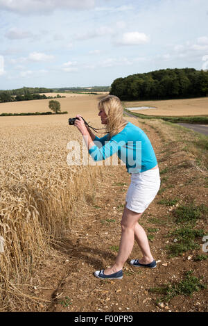 Woman using a digital camera to photograph a field of wheat in the Hampshire countryside southern England UK Stock Photo