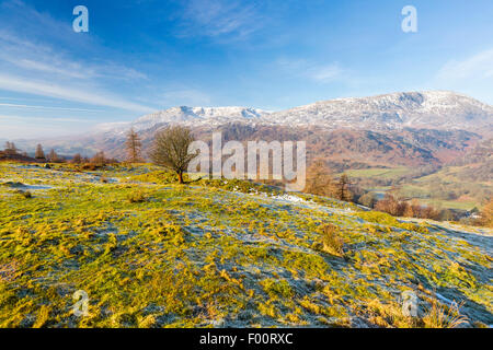 A view from Tarn Hows Intake towards The Old Man of Coniston, Lake District National Park, Cumbria, England, United Kingdom, Eur Stock Photo