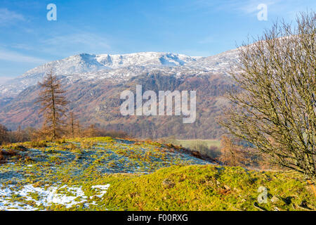 A view from Tarn Hows Intake towards The Old Man of Coniston, Lake District National Park, Cumbria, England, United Kingdom, Eur Stock Photo