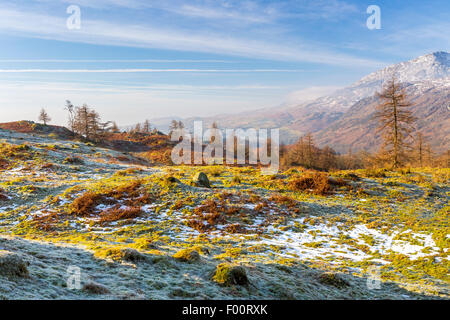 A view from Tarn Hows Intake towards The Old Man of Coniston, Lake District National Park, Cumbria, England, United Kingdom, Eur Stock Photo