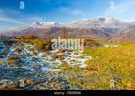 A view from Tarn Hows Intake towards The Old Man of Coniston, Lake District National Park, Cumbria, England, United Kingdom, Eur Stock Photo