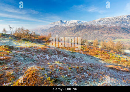 A view from Tarn Hows Intake towards The Old Man of Coniston, Lake District National Park, Cumbria, England, United Kingdom, Eur Stock Photo