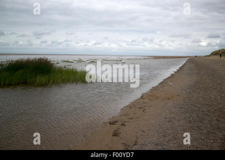 salt marshes on warren beach near Talacre beach sssi north wales uk Stock Photo