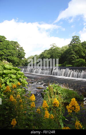 The weir on the River Derwent at Bamford in the Peak District National Park, Derbyshire England UK Stock Photo