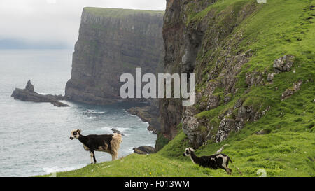 Mykines, Faroe Islands Stock Photo