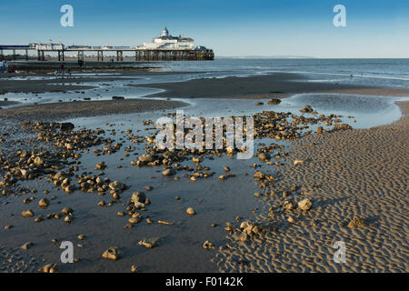 The beach at low tide, with the pier in the background, at Eastbourne, East Sussex, England, UK. Stock Photo