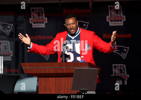 Former New England Patriot Willie McGinest on set for the NFL Network,  during an NFL football training camp practice in Foxborough, Mass.,  Saturday, July 27, 2019. (AP Photo/Stew Milne Stock Photo - Alamy