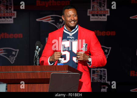 Former New England Patriot Willie McGinest on set for the NFL Network,  during an NFL football training camp practice in Foxborough, Mass.,  Saturday, July 27, 2019. (AP Photo/Stew Milne Stock Photo - Alamy