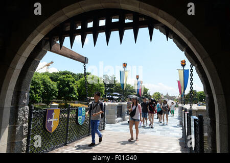 Hong Kong, China. 5th Aug, 2015. Tourists enjoy themselves in Hong Kong Disneyland in Hong Kong, south China, Aug. 5, 2015. © Qin Qing/Xinhua/Alamy Live News Stock Photo