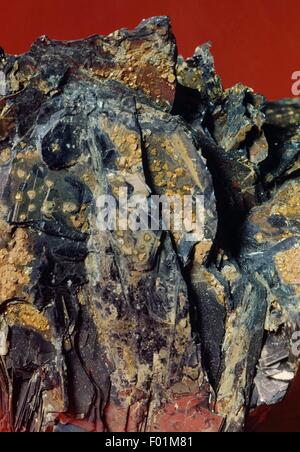 Covellite or covelline, sulfide. Stock Photo