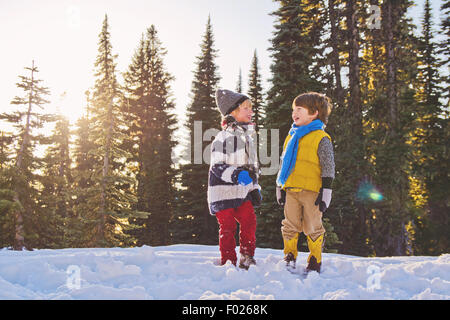 Two young boys laughing in the snow, trees in the background Stock Photo