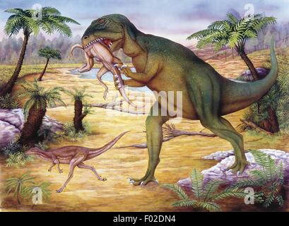 Palaeozoology - Jurassic period - Dinosaurs - Allosaurus - Art work by Neil Lloyd Stock Photo