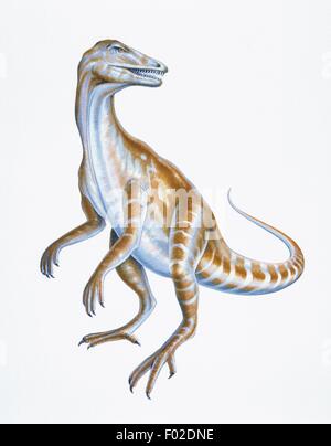 Palaeozoology - Triassic period - Dinosaurs - Staurikosaurus - Art work by Richard Prideaux Stock Photo