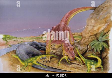 Palaeozoology - Cretaceous period - Dinosaurs - Indosuchus e ...