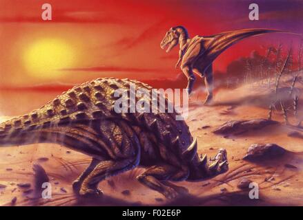 Palaeozoology - Cretaceous period - Dinosaurs - Sauropelta and Albertosaurus - Art work
