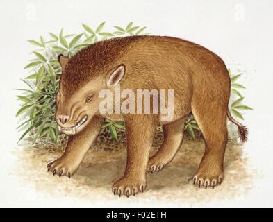 Palaeozoology - Cainozoic period - Extinct mammals - Barylamda ...