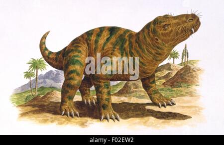 Palaeozoology - Triassic Period - Reptiles - Cynognathus (art work by ...