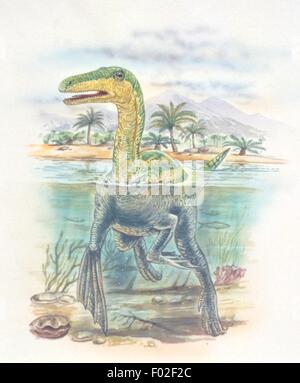 Palaeozoology - Upper Jurassic period - Fossil reptiles - Dinosaurs - Compsognathus swimming - Art work Stock Photo