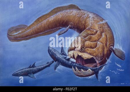 Palaeozoology - Devonian period - Placodermi - Dunkleosteus - Art work ...