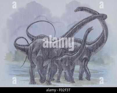 Palaeozoology - Jurassic period - Dinosaurs - Diplodocus family - Art work by Graham Rosewarne Stock Photo