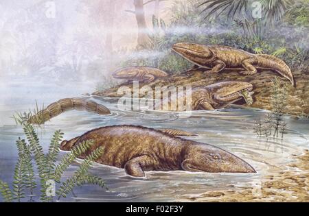 Palaeozoology - Devonian period - Fossil amphibians - Ichthyostega ...