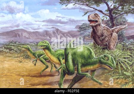 Palaeozoology - Cretaceous period - Dinosaurs - Parksosaurus taking flight from an Albertosaurus - Art work by Tim Hayward
