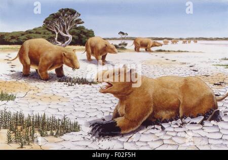 Palaeozoology - Pleistocene period - Extinct mammals, giant marsupials - Diprodoton - Art work by Nick Pike Stock Photo