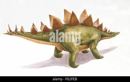 Palaeozoology - Jurassic period - Dinosaurs - Stegosaurus - Art work by Nick Pike Stock Photo