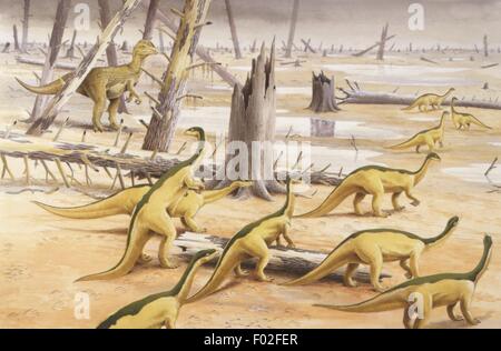 Palaeozoology - Jurassic period - Dinosaurs - Herd of Anchisaurus and a specimen of Dilophosaurus - Art work by Nick Pike Stock Photo