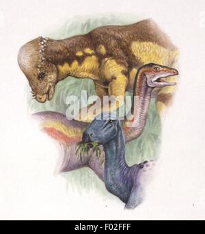 Palaeozoology - Cretaceous period - Dinosaurs - Pachycephalosaurus ...
