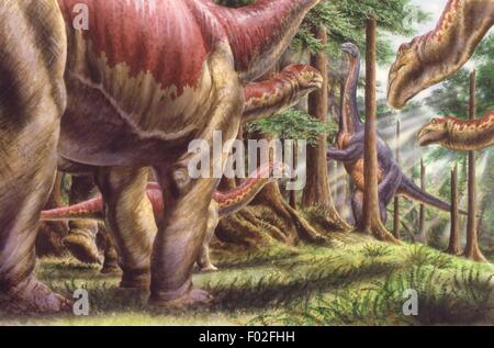 Palaeozoology - Jurassic period - Dinosaurs - Herd of Kotasaurus - Art work by Robin Boutell Stock Photo