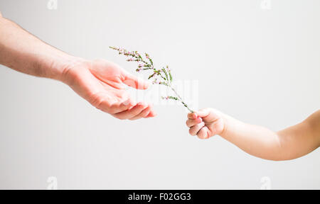 Girl giving a wildflower to her father Stock Photo