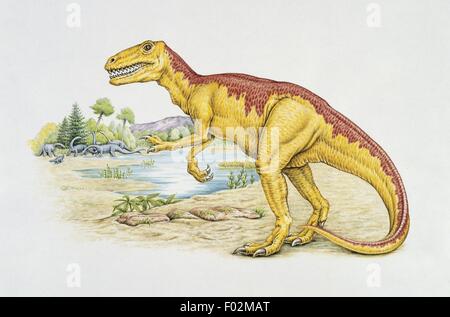 Palaeozoology - Jurassic Period - Dinosaurs - Gasosaurus (art work by Ryz Hajdul) Stock Photo