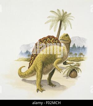 Palaeozoology - Cretaceous Period - Dinosaurs - Spinosaurus (art work by Barry Croucher) Stock Photo